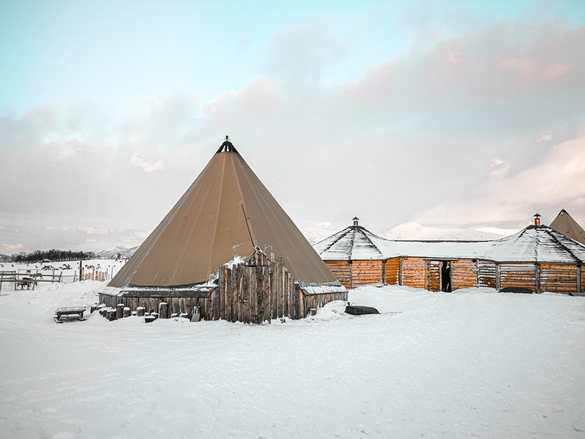 Rentiere füttern in Tromsø