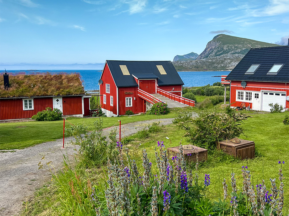 Lofoten Unterkunft