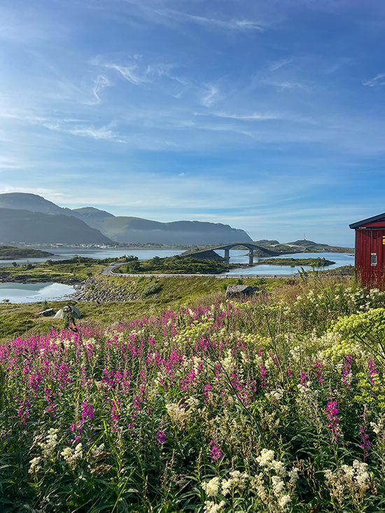 Ryten Lofoten