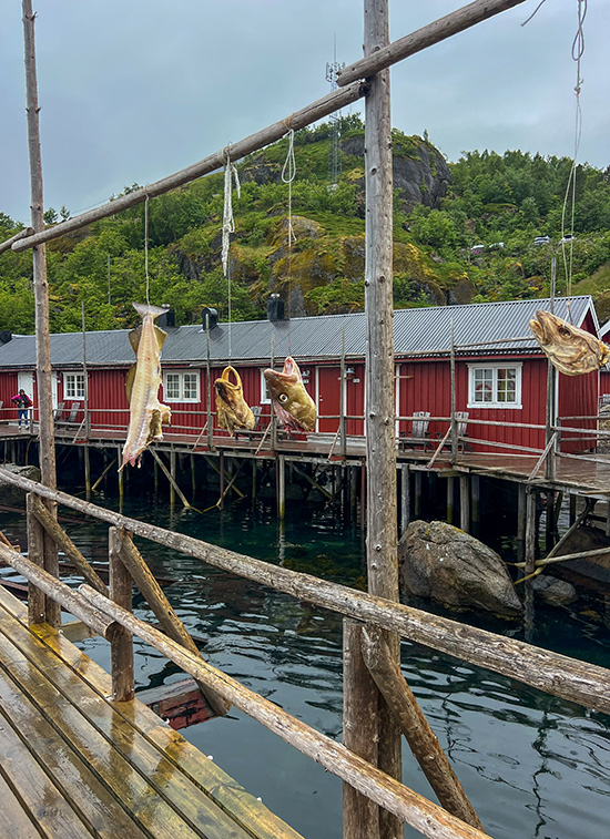 Nusfjord Tipps