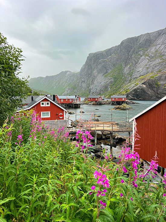 Nusfjord Tipps