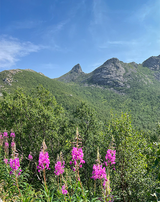 Lofoten Wanderung