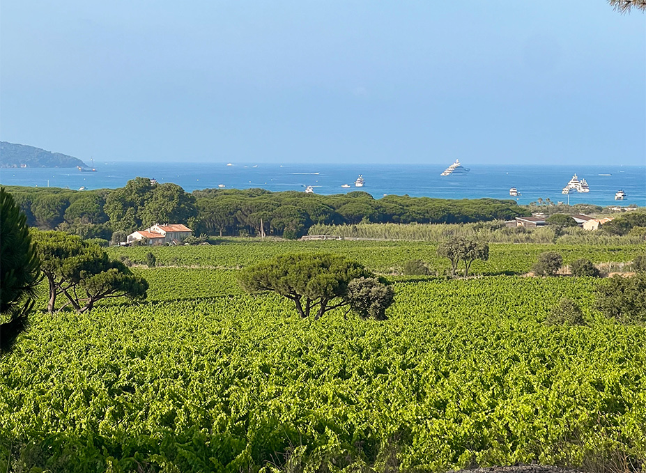 Campingplatz St. Tropez