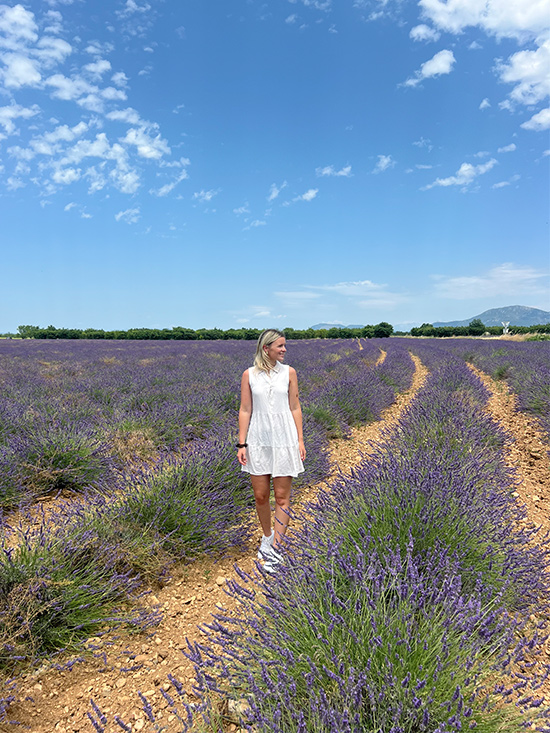 Lavendelfelder Provence