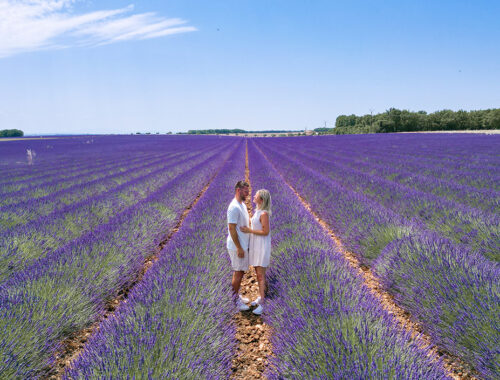 Lavendelfelder Frankreich