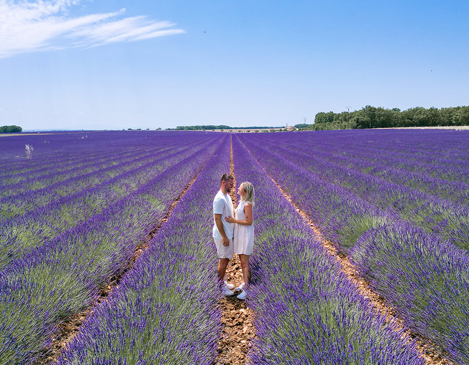 Lavendelfelder Frankreich