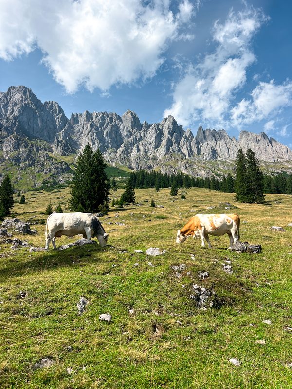 Wandern am Hochkönig